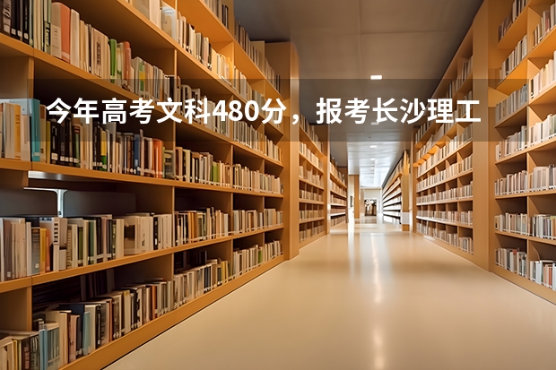 今年高考文科480分,报考长沙理工大学城南学院录取机会大吗?