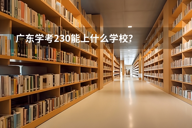 广东学考230能上什么学校？