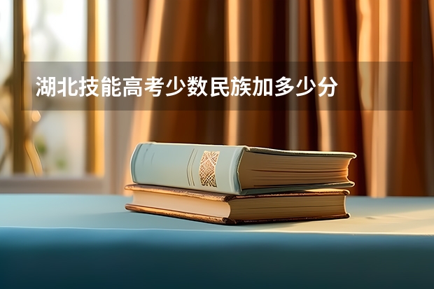 湖北技能高考少数民族加多少分