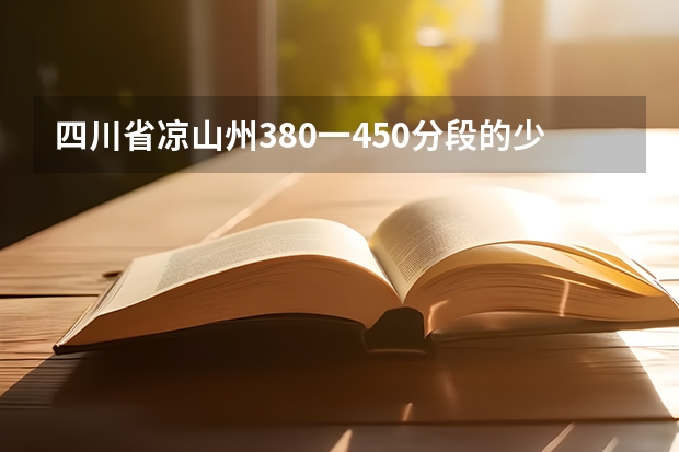 四川省凉山州380一450分段的少数民族考生有多少人?