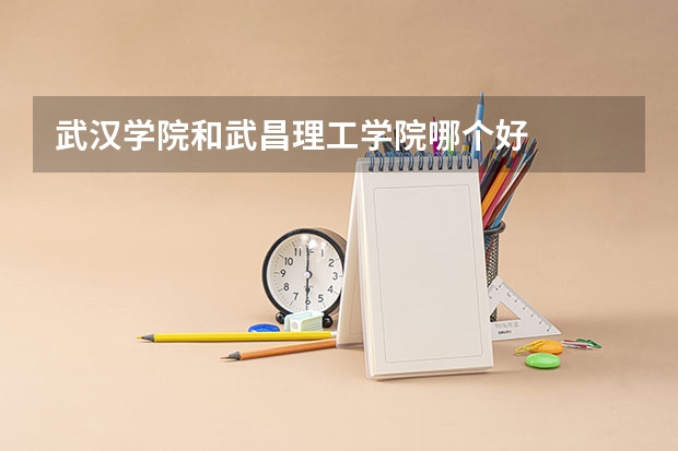 武汉学院和武昌理工学院哪个好