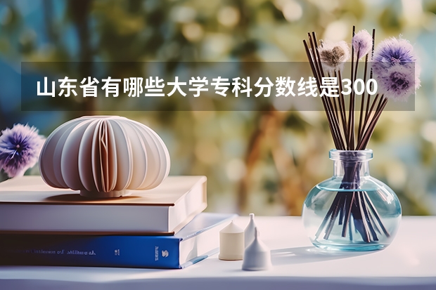山东省有哪些大学专科分数线是300——400分左右的?
