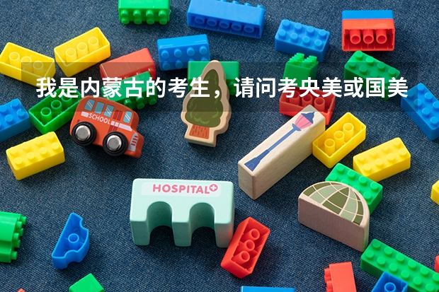 我是内蒙古的考生,请问考央美或国美得多少分(专业+文化)?