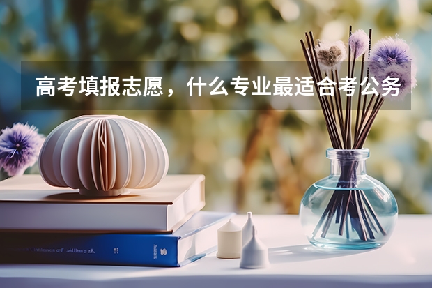 高考填报志愿,什么专业最适合考公务员?