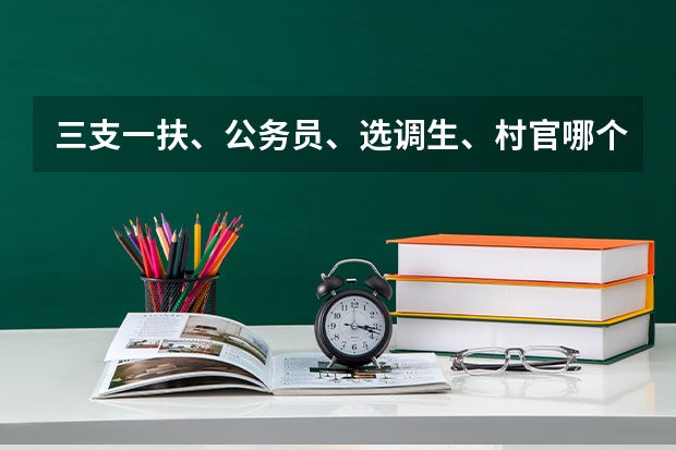 三支一扶、公务员、选调生、村官哪个待遇好?