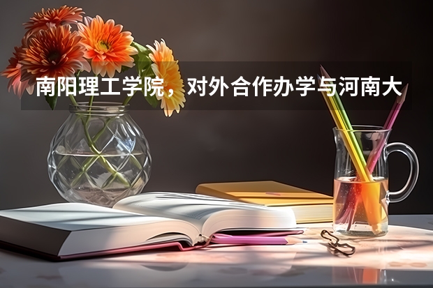 南阳理工学院,对外合作办学与河南大学民生学院哪个更好?