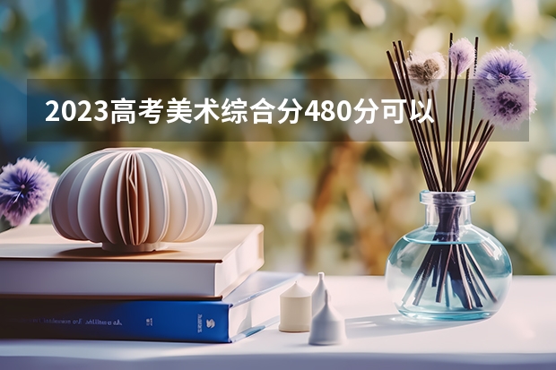 2023高考美术综合分480分可以报考什么学校?