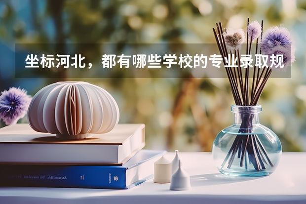 坐标河北,都有哪些学校的专业录取规则是分数优先?