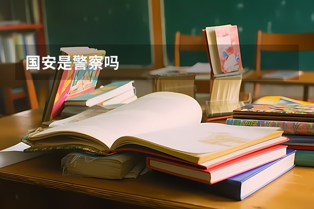 国安是警察吗