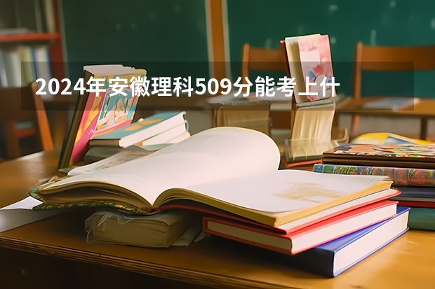 2024年安徽理科509分能考上什么大学?