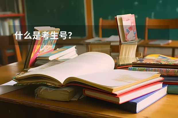 什么是考生号?