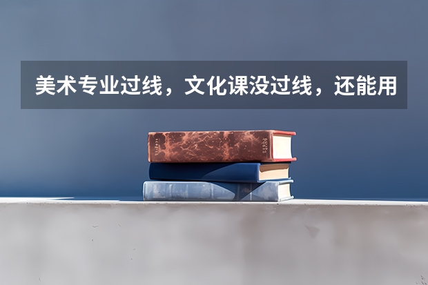 美术专业过线,文化课没过线,还能用综合分吗