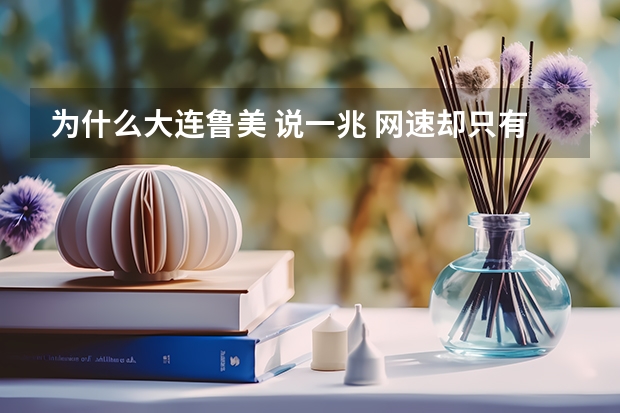 为什么大连鲁美 说一兆 网速却只有0.1兆 那么慢 ??大学 高考