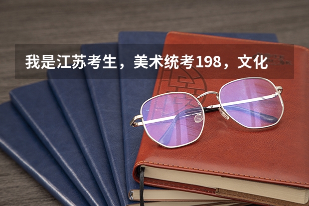 我是江苏考生,美术统考198,文化300左右,大概能上个什么学校呢?一本院校有希望吗?