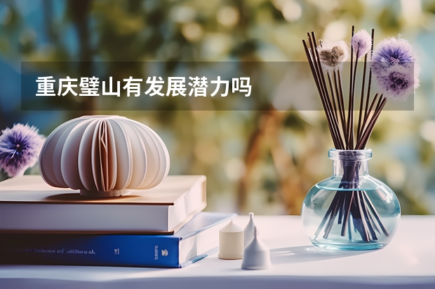 重庆璧山有发展潜力吗