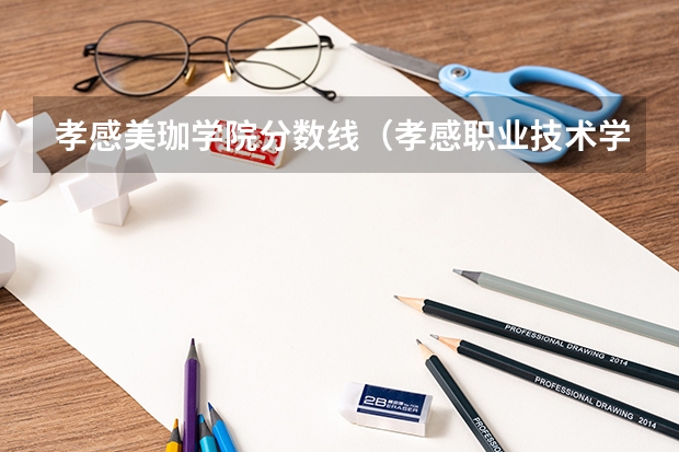 孝感美珈学院分数线(孝感职业技术学院官网分数线)