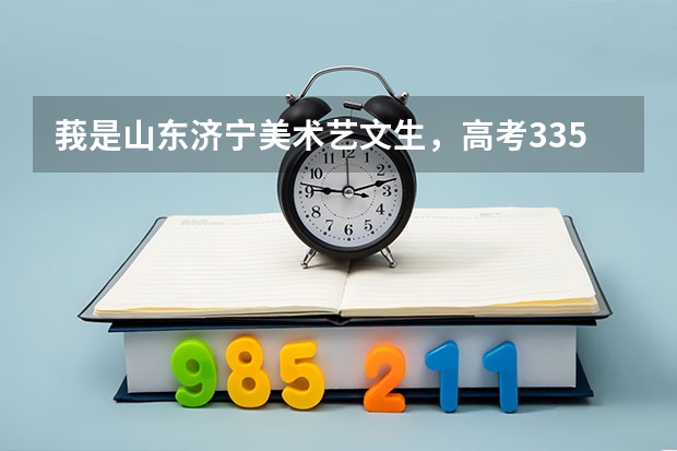 莪是山东济宁美术艺文生,高考335分,美术联考228、33分,莪可以报考什么样的学校?