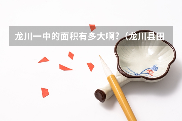 龙川一中的面积有多大啊?(龙川县田家炳中学的办学成果)
