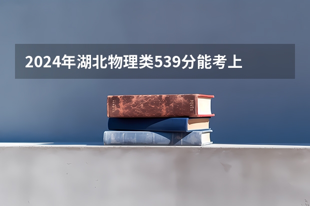 2024年湖北物理类539分能考上什么大学?