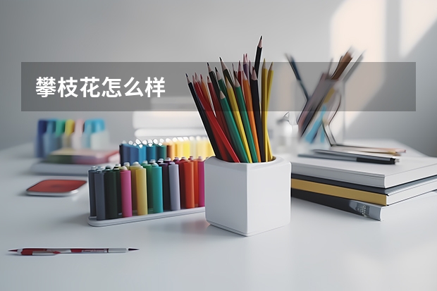 攀枝花怎么样