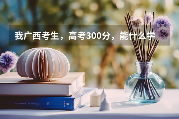 我广西考生,高考300分,能什么学校?