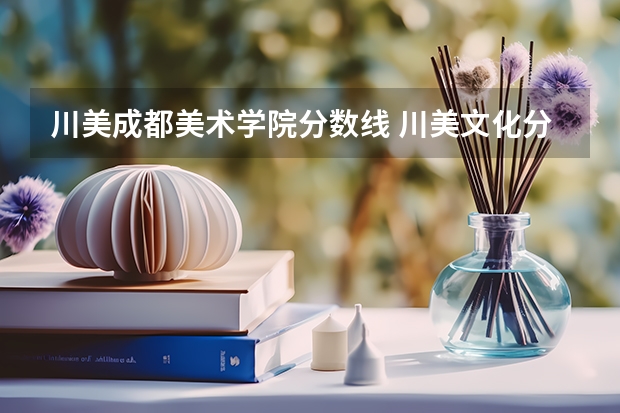 川美成都美术学院分数线 川美文化分数线(急!!!)