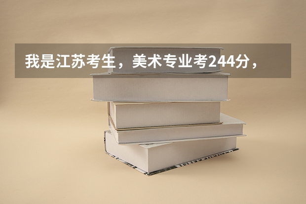 我是江苏考生,美术专业考244分,文化估计210分,能上本科吗?