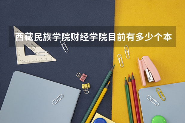 西藏民族学院财经学院目前有多少个本科专业?