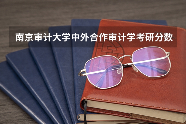 南京审计大学中外合作审计学考研分数线 25考研 | 最新2024全国MAud审计硕士院校学费和分数线汇总!