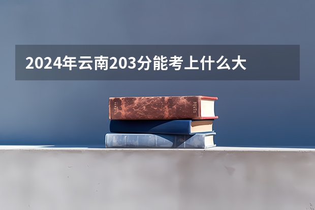 2024年云南203分能考上什么大学?