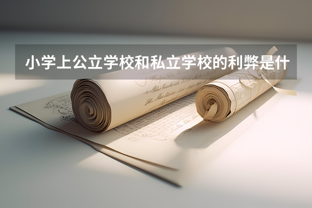 小学上公立学校和私立学校的利弊是什么?插班生转到私立学校需要转学籍吗?