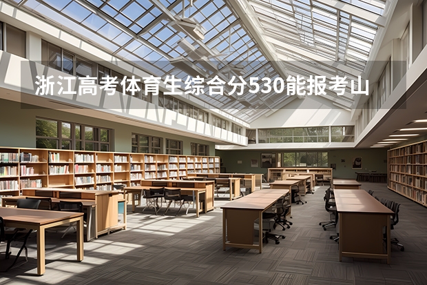 浙江高考体育生综合分530能报考山东体育大学嘛 济南职业学院分数线
