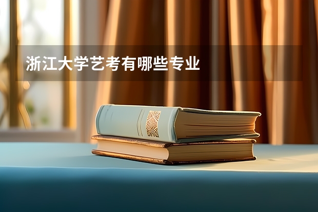 浙江大学艺考有哪些专业