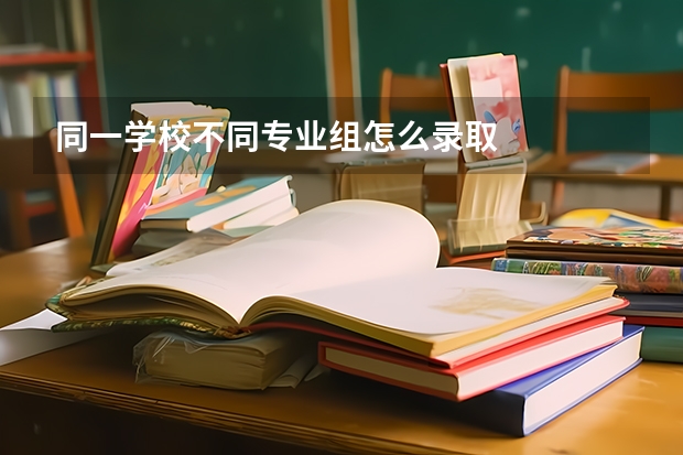 同一学校不同专业组怎么录取