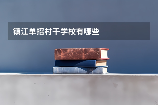 镇江单招村干学校有哪些