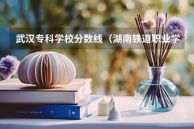 武汉专科学校分数线(湖南铁道职业学院分数线)
