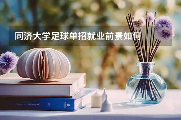 同济大学足球单招就业前景如何