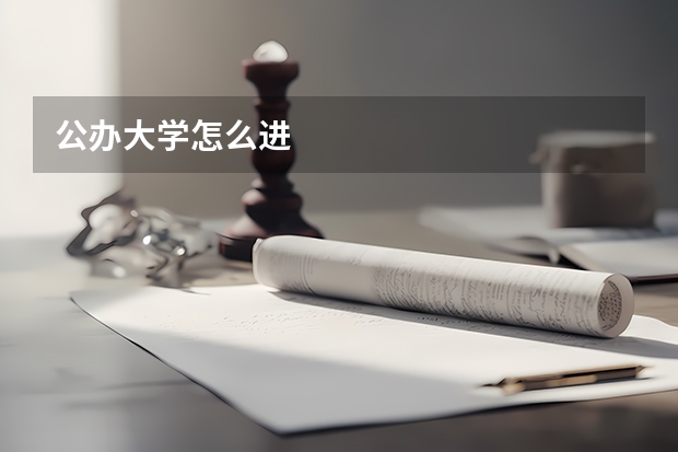 公办大学怎么进