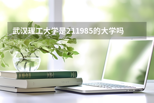 武汉理工大学是211.985的大学吗