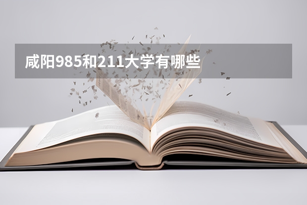 咸阳985和211大学有哪些