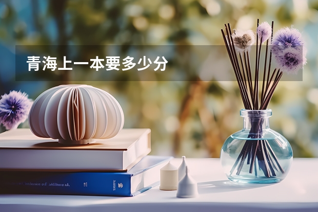 青海上一本要多少分