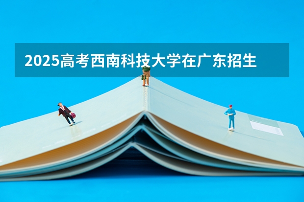 2025高考西南科技大学在广东招生计划