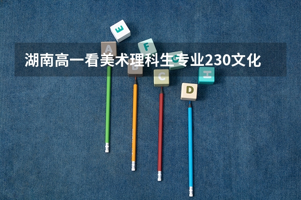 湖南高一看美术理科生专业230.文化分330.能上什么大学?