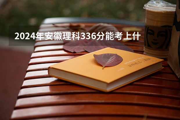 2024年安徽理科336分能考上什么大学?