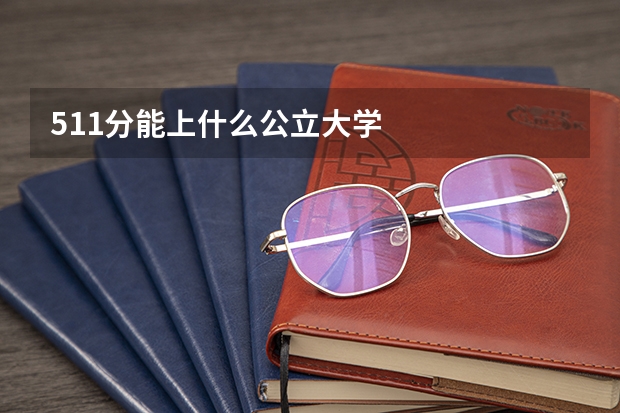 511分能上什么公立大学