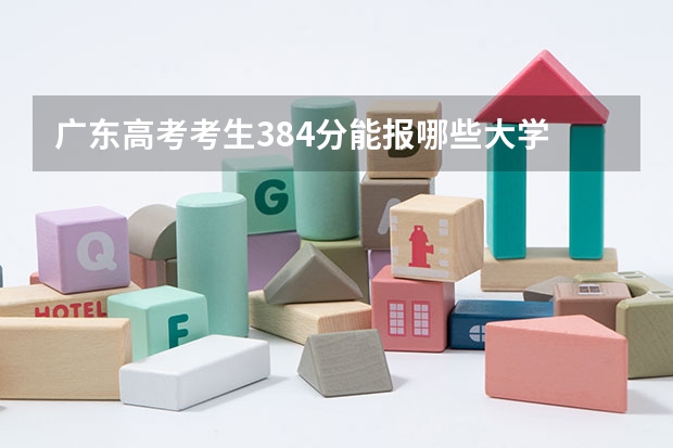 广东高考考生384分能报哪些大学