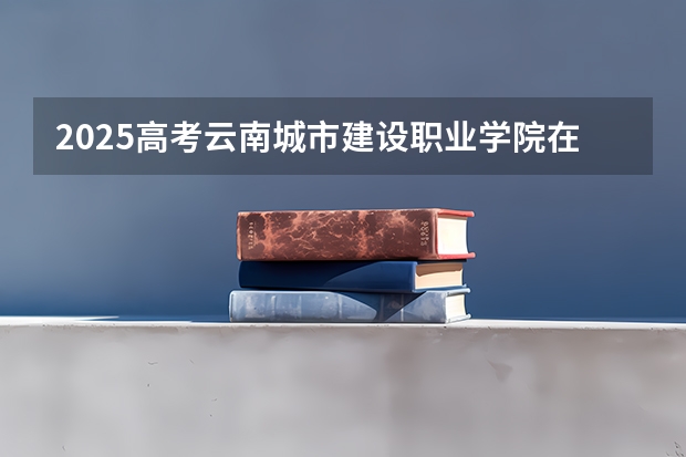 2025高考云南城市建设职业学院在广东招生计划
