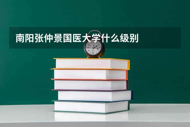 南阳张仲景国医大学什么级别