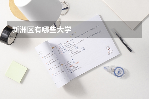 新洲区有哪些大学