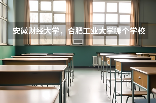 安徽财经大学,合肥工业大学哪个学校的成人专升本会计专业比较